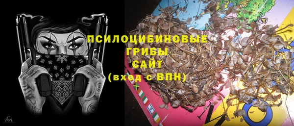 Альфа ПВП Абаза
