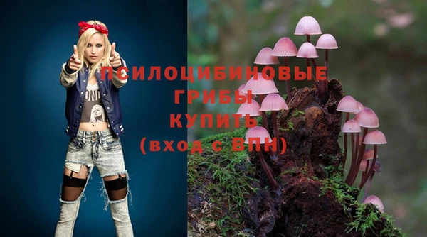 Альфа ПВП Абаза