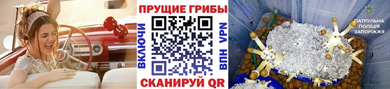 Псилоцибиновые грибы ЛСД  Нижняя Тура 